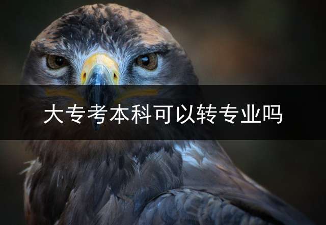 大专考本科可以转专业吗？