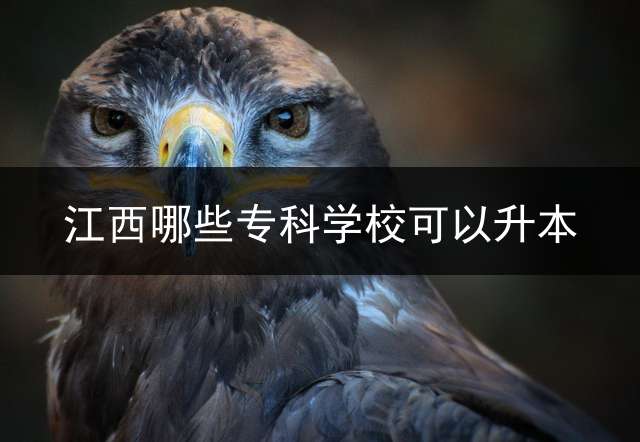 江西哪些专科学校可以升本？ 2021豫章师范学院专升本分数线？