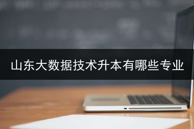 山东大数据技术升本有哪些专业？ 山东2023专升本考临床医学分数线预测？