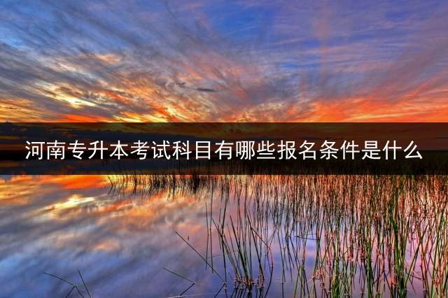 河南专升本考试科目有哪些?报名条件是什么？
