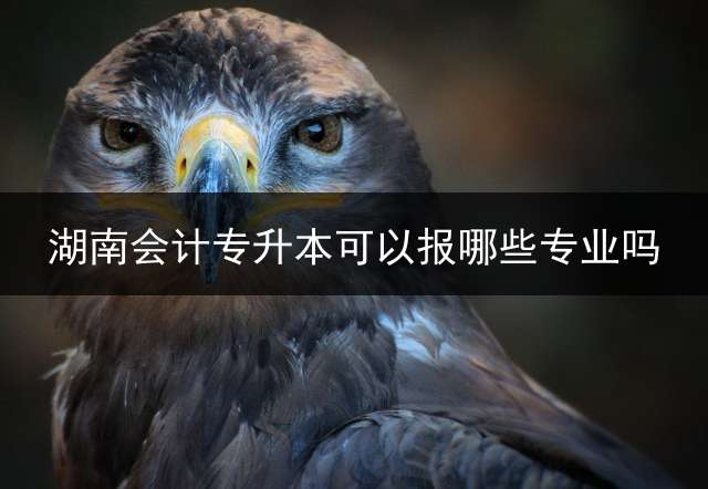 湖南会计专升本可以报哪些专业吗？ 湖南民族职业学院可以专升本的专业有哪些？
