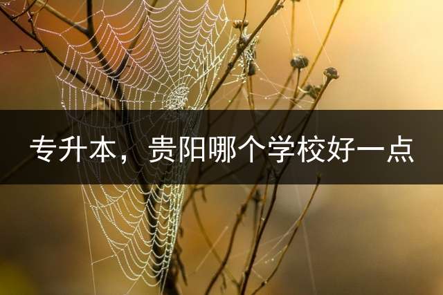 专升本，贵阳哪个学校好一点？ 2021年贵州中医专升本院校？