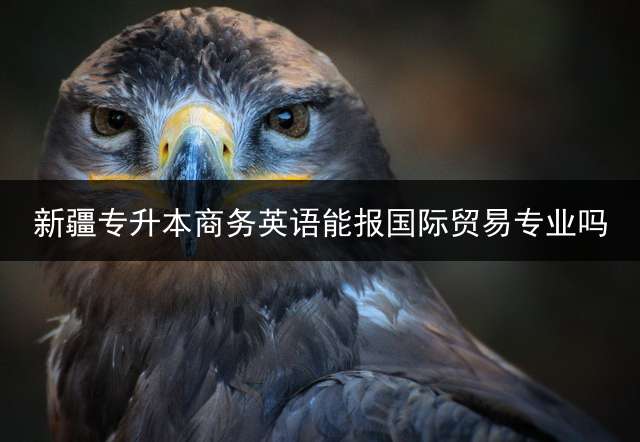 新疆专升本商务英语能报国际贸易专业吗？ 新疆的专升本什么报？