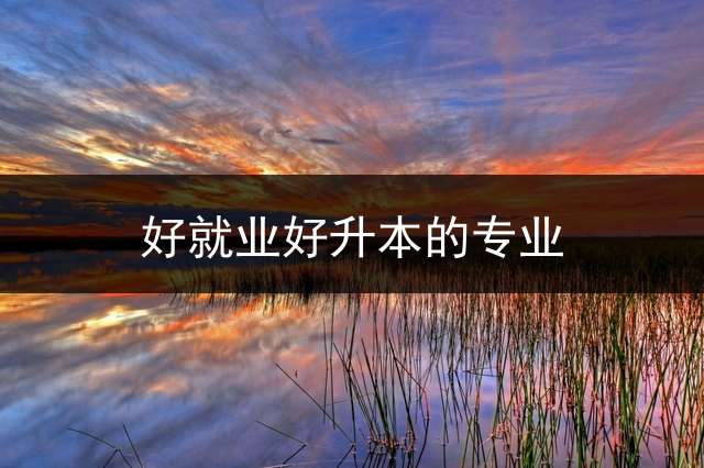 好就业好升本的专业？
