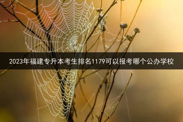 2023年福建专升本考生排名1179可以报考哪个公办学校？ 如何在网上看专转本学校的专业？