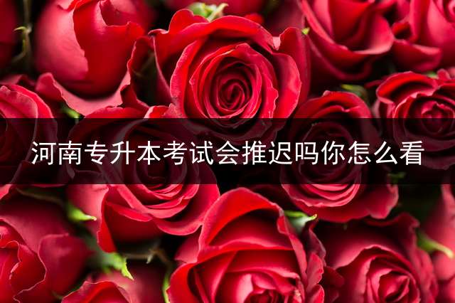 河南专升本考试会推迟吗？你怎么看？ 2021专升本考试时间郑州？