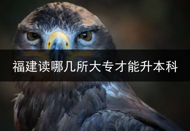 福建读哪几所大专才能升本科？ 莆田医学院是公办还是民办？