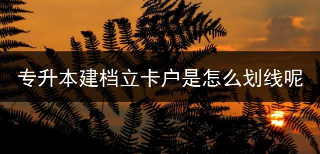 专升本建档立卡户是怎么划线呢？ 厦门理工学院有没有专科？