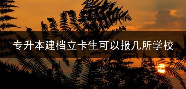 专升本建档立卡生可以报几所学校？