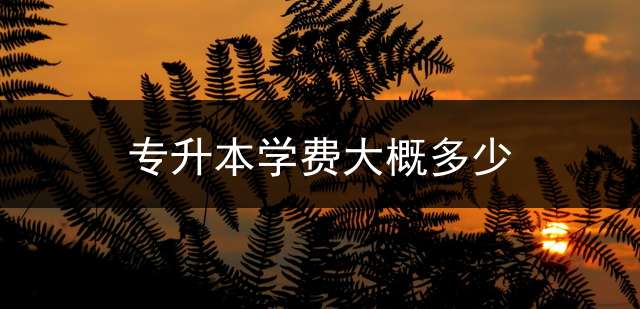 专升本学费大概多少？ 三门峡天一专升本全日制班在哪里？