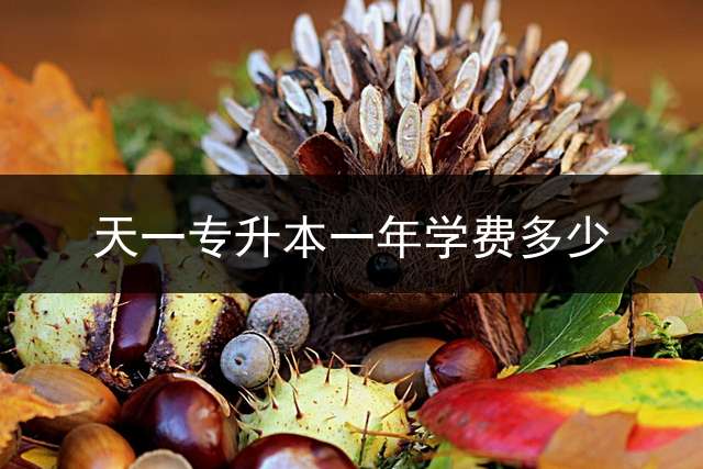 天一专升本一年学费多少？ 安阳天一专升本收费情况？