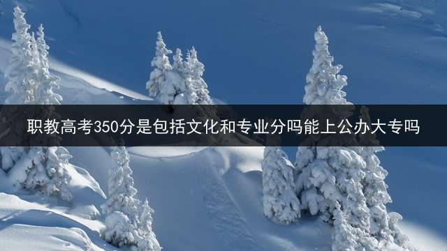 职教高考350分是包括文化和专业分吗能上公办大专吗？