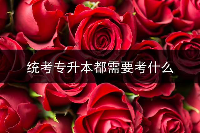 统考专升本都需要考什么？