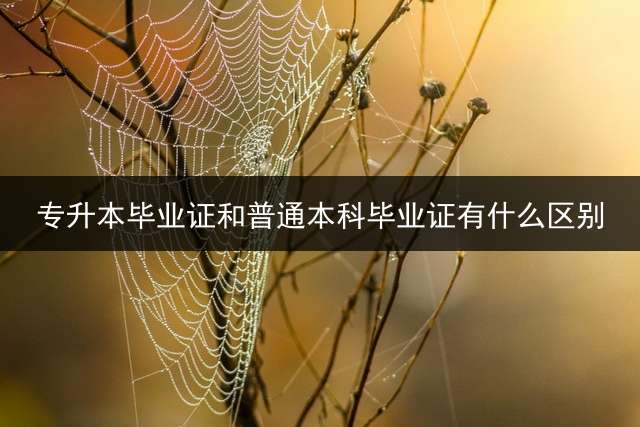 专升本毕业证和普通本科毕业证有什么区别？