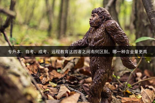 专升本、自考、成考、远程教育这四者之间有何区别，哪一种含金量更高？