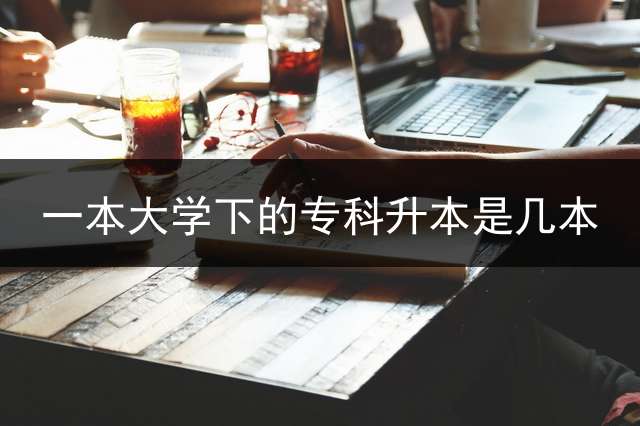 一本大学下的专科升本是几本? 专升本是几本？