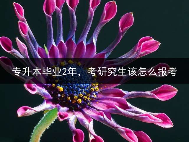 专升本毕业2年，考研究生该怎么报考？