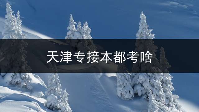 天津专接本都考啥？