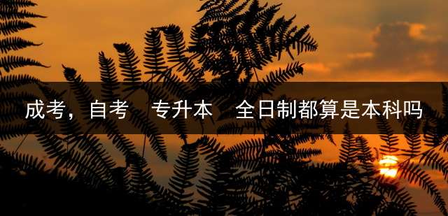 成考，自考  专升本  全日制都算是本科吗？ (专升本是全日制大学吗？)