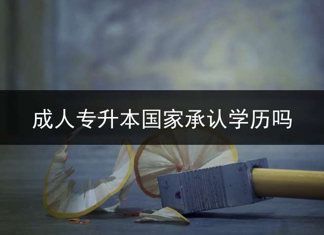 成人专升本国家承认学历吗？