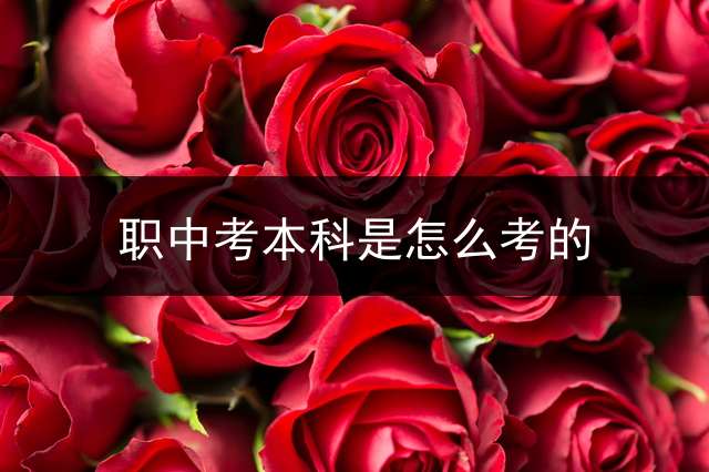 职中考本科是怎么考的？
