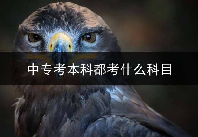 中专考本科都考什么科目？