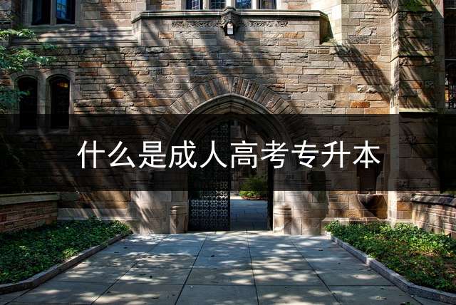 什么是成人高考专升本？