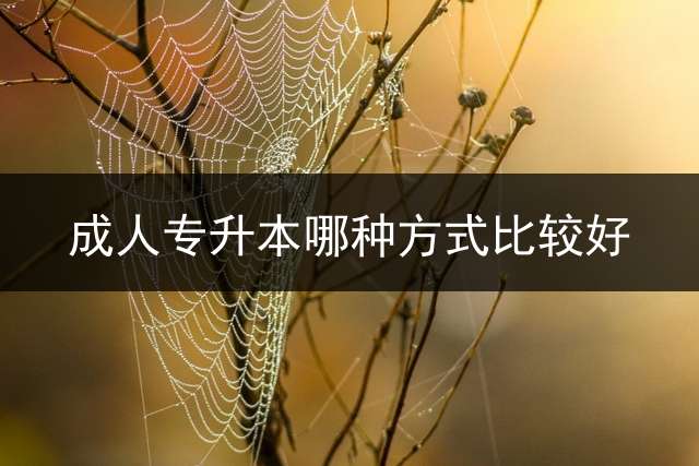 成人专升本哪种方式比较好？ (成人自考本科什么机构比较靠谱？)