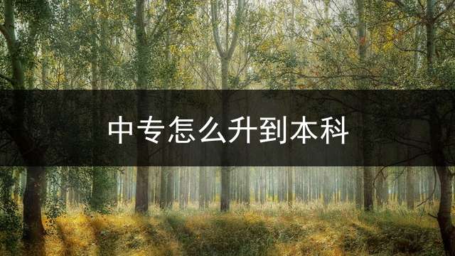 中专怎么升到本科？