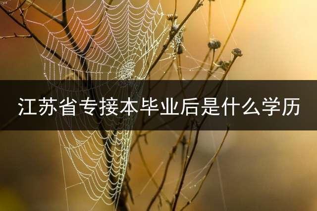 江苏省专接本毕业后是什么学历？