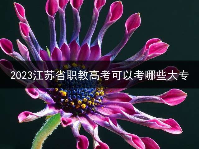 2023江苏省职教高考可以考哪些大专？