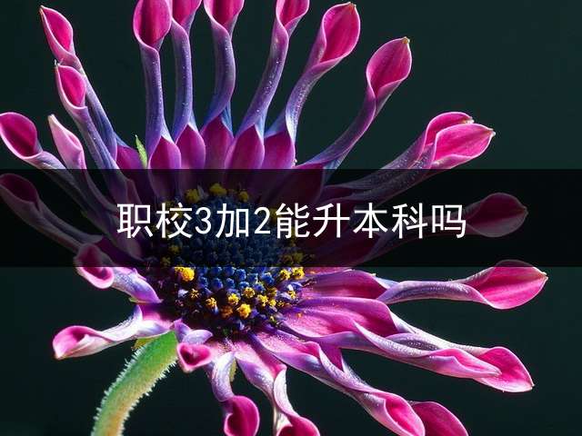职校3加2能升本科吗？