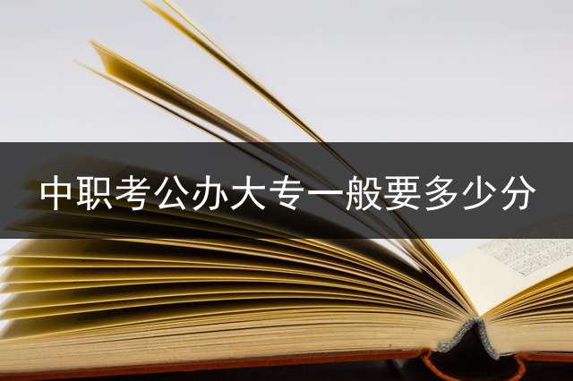 中职考公办大专一般要多少分？