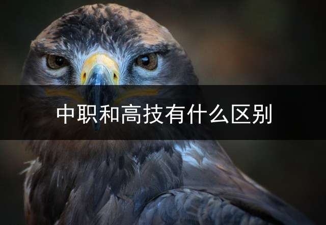 中职和高技有什么区别？