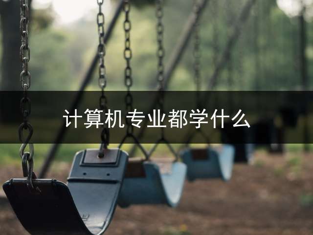 计算机专业都学什么？ (中等职业学校的计算机专业主要学什么课程？)