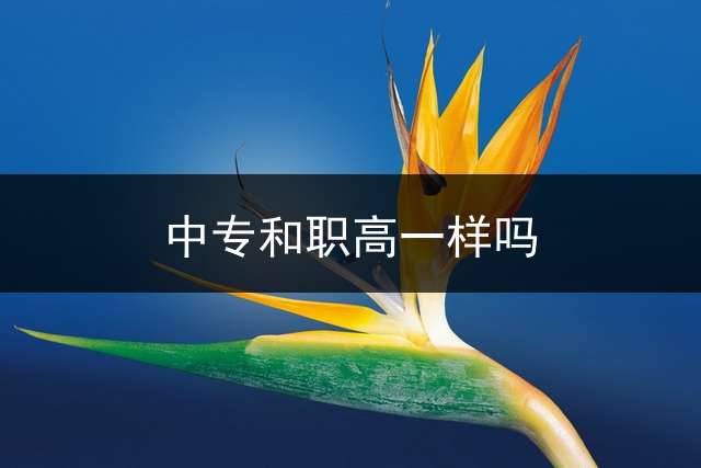 中专和职高一样吗？