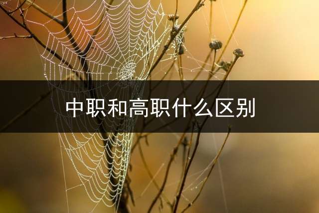 中职和高职什么区别？