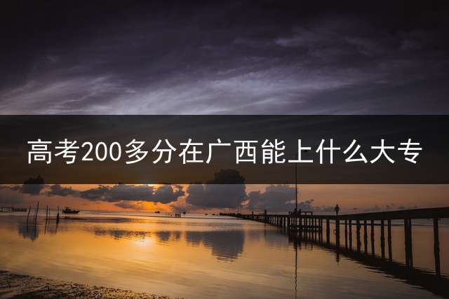 高考200多分在广西能上什么大专？