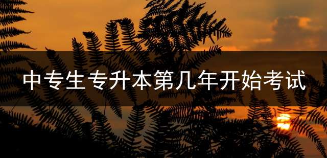 中专生专升本第几年开始考试？