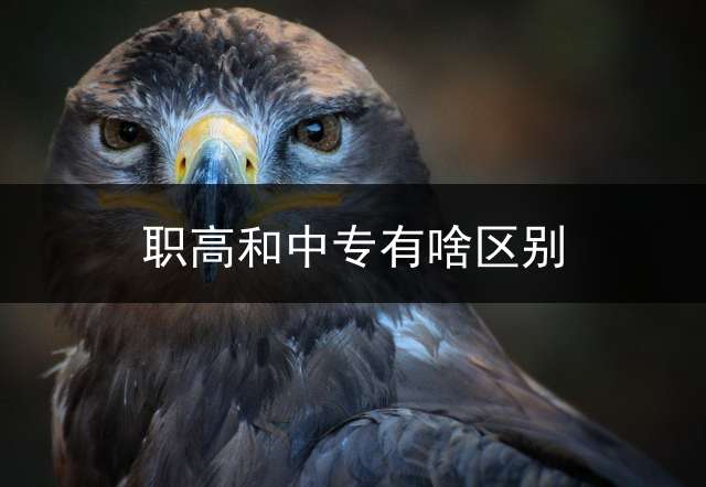 职高和中专有啥区别？