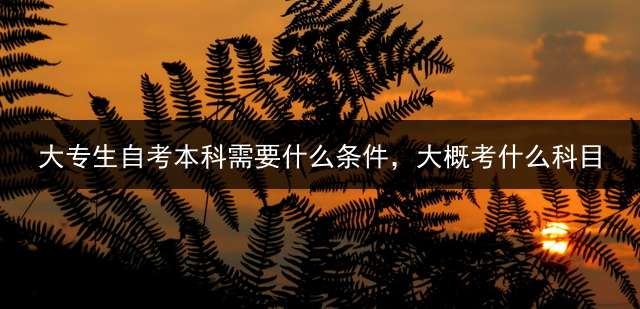 大专生自考本科需要什么条件，大概考什么科目？ 自考本科需要什么条件？