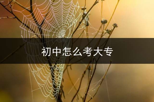初中怎么考大专？
