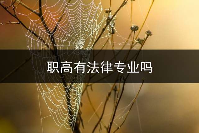 职高有法律专业吗？ (不上高中上什么技校？)