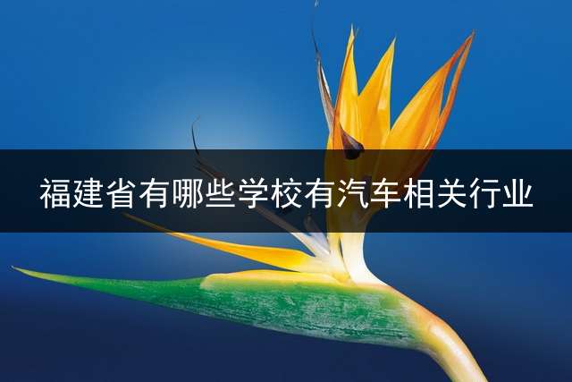福建省有哪些学校有汽车相关行业？