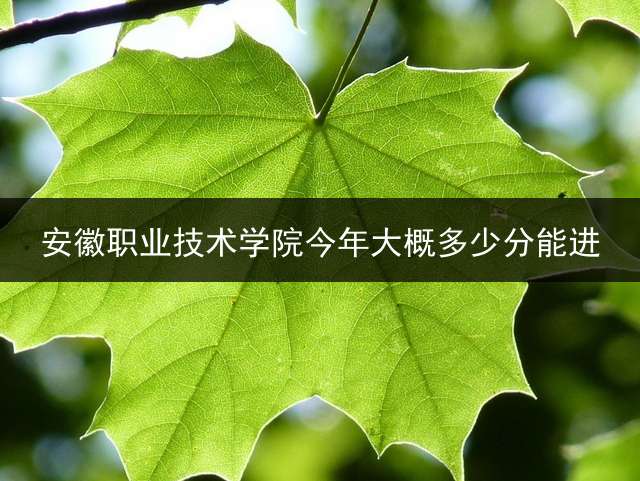 安徽职业技术学院今年大概多少分能进？