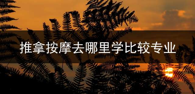 推拿按摩去哪里学比较专业？ 成人推拿培训哪里学？