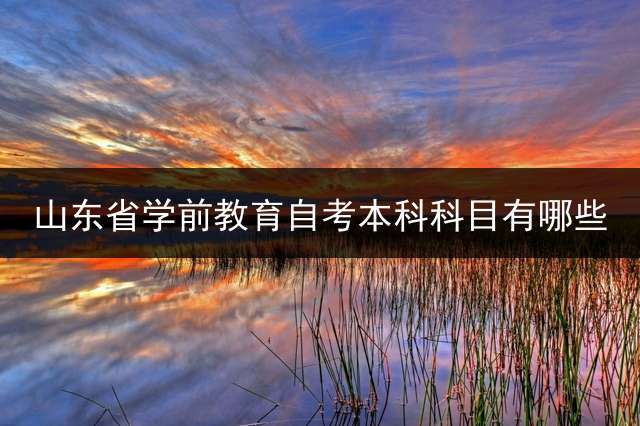 山东省学前教育自考本科科目有哪些？