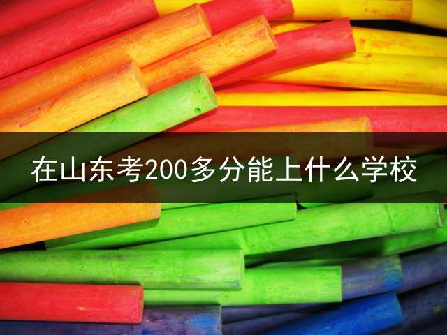 在山东考200多分能上什么学校？
