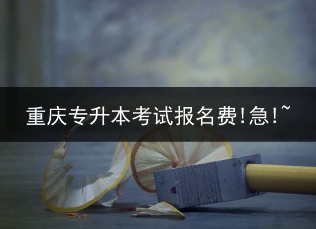 重庆专升本考试报名费!急!~？