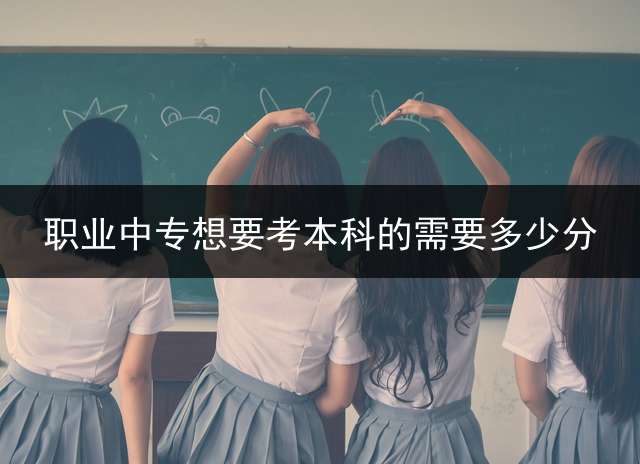 职业中专想要考本科的需要多少分？